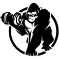 GorillaSports ACTIE ||  Ontvang 15‌% STAPELKORTING met deze actiecode