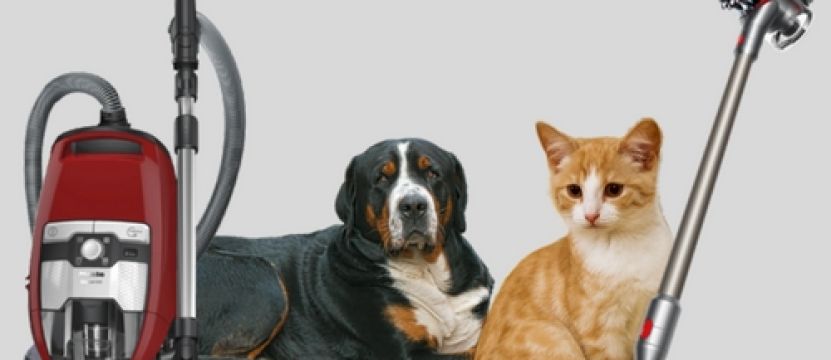 Miele Cat and Dog vs Dyson Animal