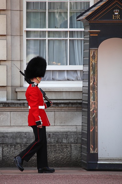 buckingham palace wisseling van de wacht