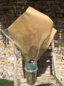 greetz bloemen papier web greetz bloemen papier web